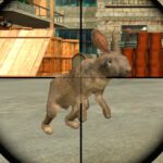 Rabbit Shooter